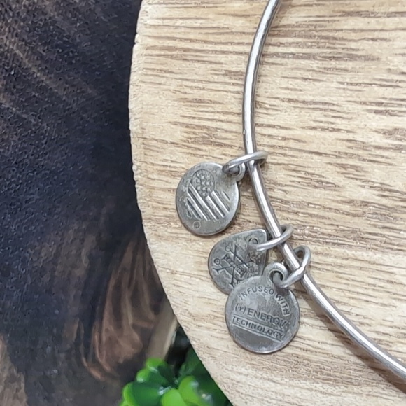 A Mothers Love Charm Bracelet Alex & Ani - Picture 3 of 5